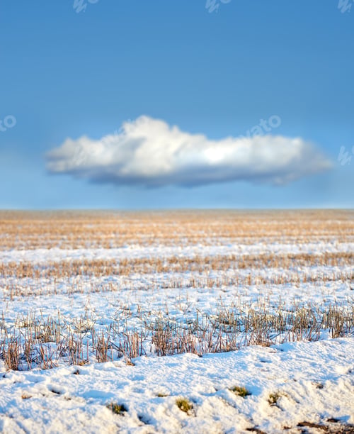 Preview: Farmland in winter - Denmark