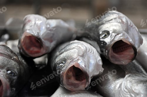 Preview: Fresh fish in a fish market