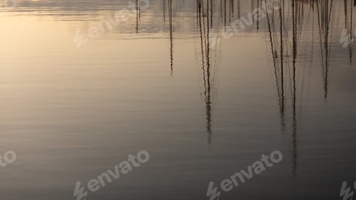 Preview: Lake with plants reflection in Lagos, Portugal