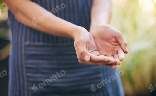 Preview: Ready to receive all miracles