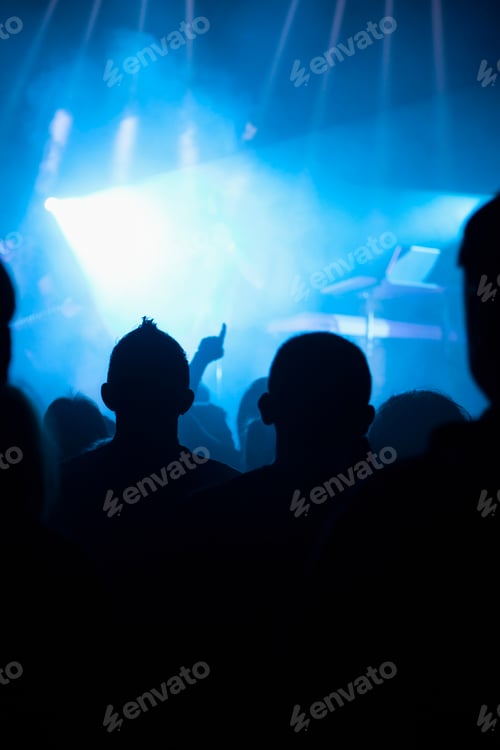 Preview: Crowd at concert