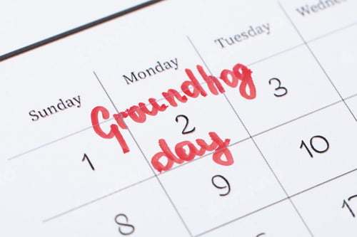 Preview: Calendar with date reminder about Groundhog day, closeup