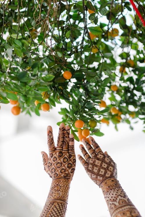 Preview: Vertical shot of female arms with mandala tattoos touching fruits on a tree