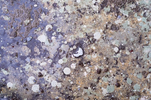 Preview: The Abstract Textured Speckled Surface With Spots Of Paint Of Different Color For Wallpaper And For