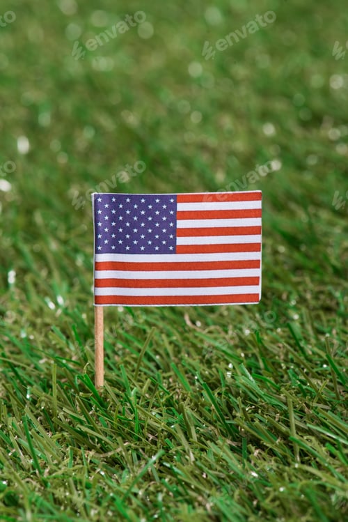 Preview: close up view of american flagpole on green grass