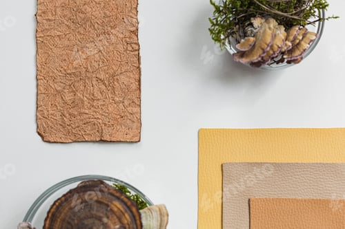 Preview: Vegan leather sample, leather from mushroom mycelium, eco friendly concept alternative bio leather