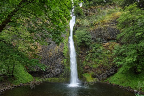 Preview: Horsetail falls. in Columbia River Gorge
