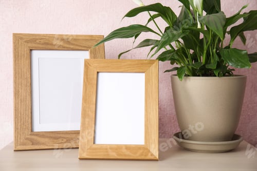 Preview: Spathiphyllum plant and photo frames on table near color wall, space for design. Home decor