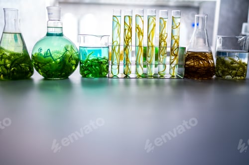 Preview: green alga laboratory research, alternative biofuel energy technology, biotechnology concept
