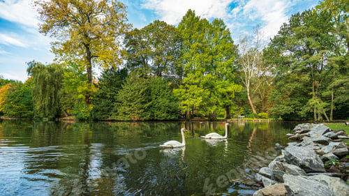Preview: Public park11a