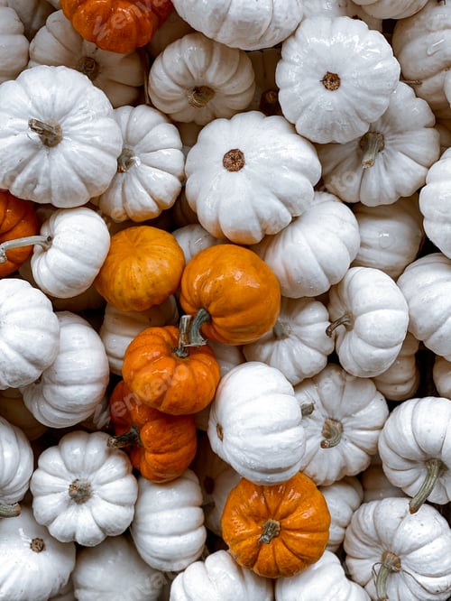 Preview: Pumpkins