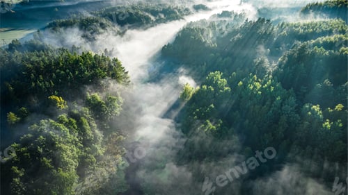 Preview: Fog over valley with river in autumn at sunrise.