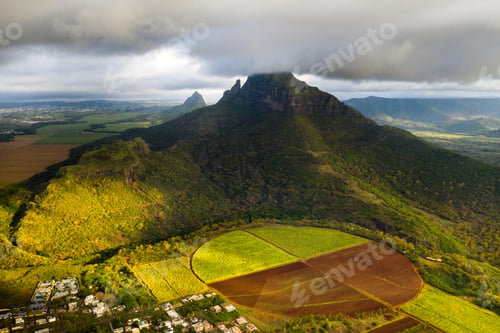 Preview: View from the height of the sown fields located on the island of Mauritius
