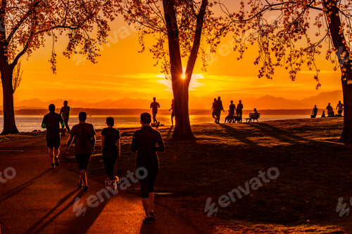 Preview: Golden hour sunset park people in silhouette
