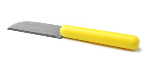 Preview: Stainless steel paring knife with plastic handle isolated on white