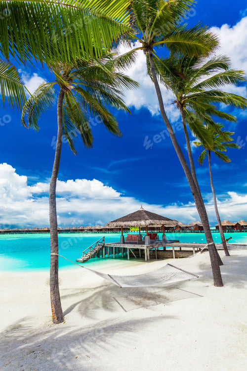 Preview: Empty hammock between palm trees on tropical beach with blue sky
