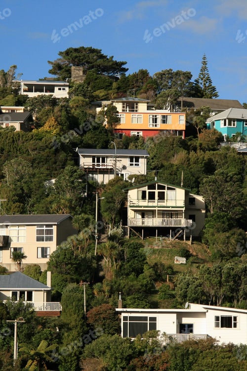 Preview: Wrights Hill, Wellington, New Zealand
