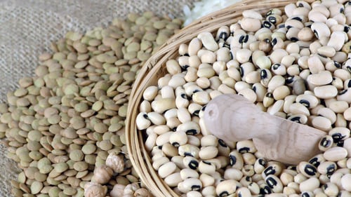 Preview: Healthy Vegetarian Raw Food Legumes
