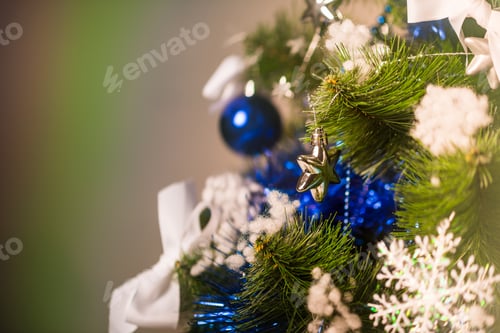 Preview: Close-up of Christmas tree branch