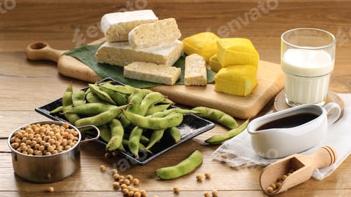 Preview: Soy Product: Raw Tofu, Tempeh, Soy Milk, Soy Sauce, and Soy Bean. Concept of Healthy Vegetarian Food