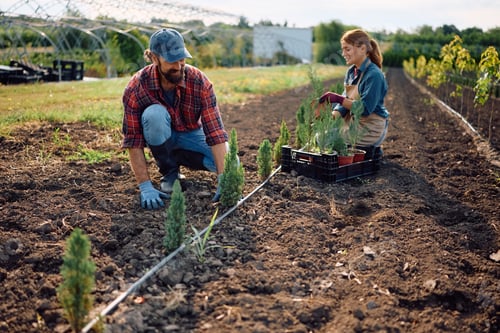 Preview: Happy garden center workers planting saplings in fertile soil.