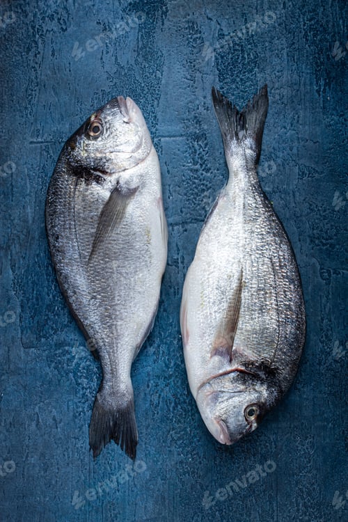 Preview: fresh raw dorado fish, on a dark blue background, top view, two pieces, no people,