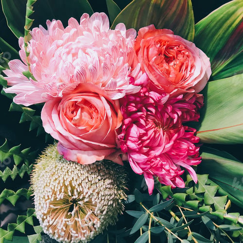 Preview: Beautiful exotic flowers