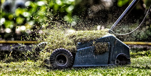 Preview: Closeup shot of a lawnmower cutting grass