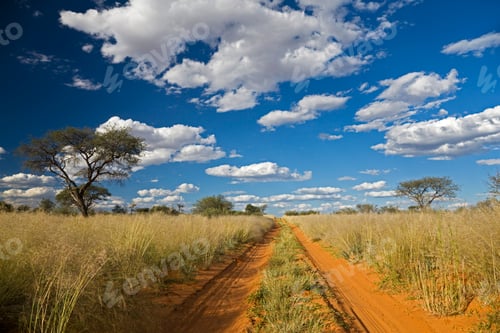 Preview: Africa, Botswana,Track through Kalahari Desert