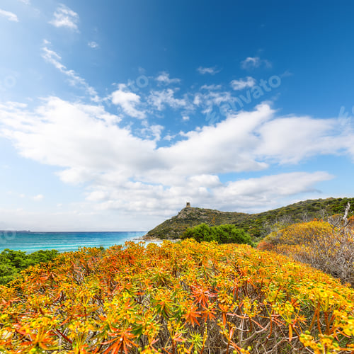 Preview: Astonishing view on Lagoon of Porto Giunco with turquoise water and old tower.