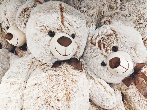 Preview: Fuzzy and fluffy cozy soft toy bears close up, full-frame background