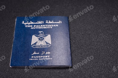 Preview: International passport of a citizen Palestine