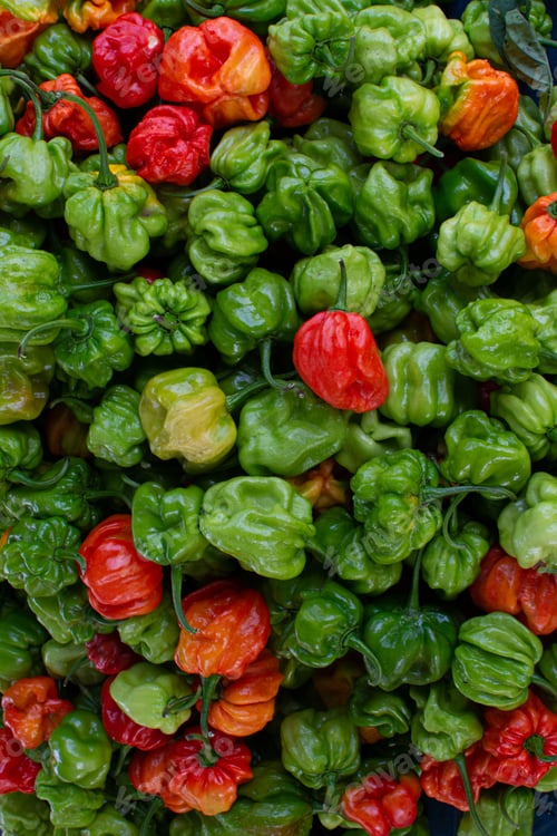 Preview: Margarita sweet peppers. Green and red sweet peppers. Main ingredient of Venezuelan cuisine