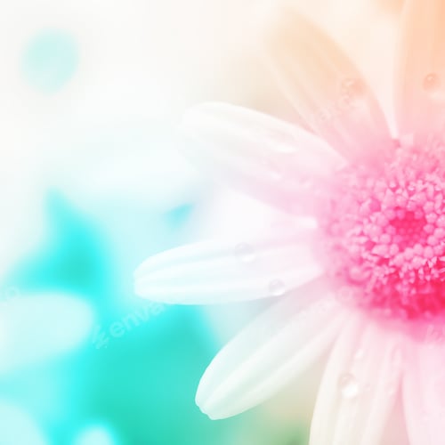 Preview: Colorful Flowers In Soft Color And Blur Style For Background