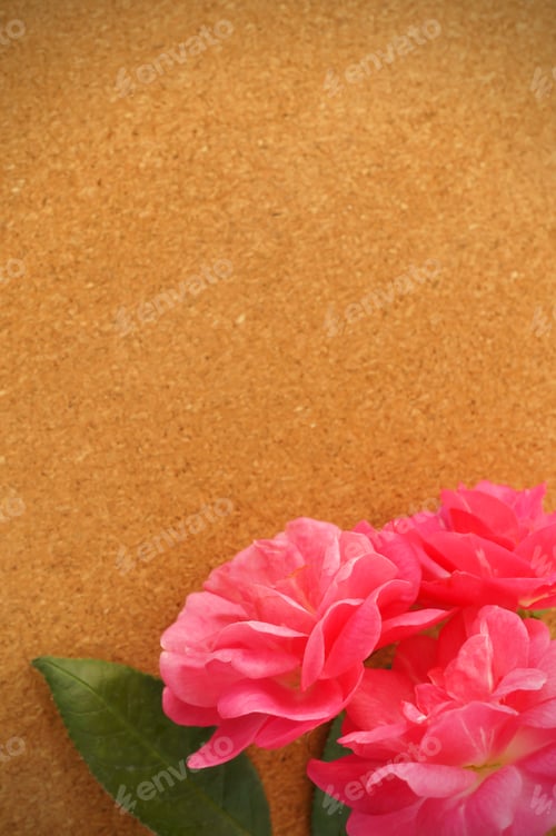 Preview: Pink Rose Flowers On Brown Background