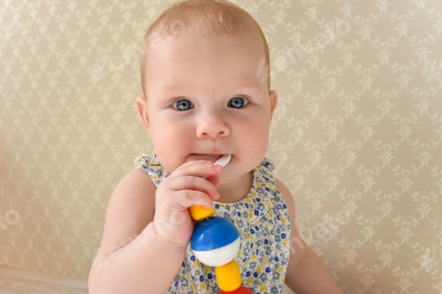Preview: The baby is gnawing on a rattle.