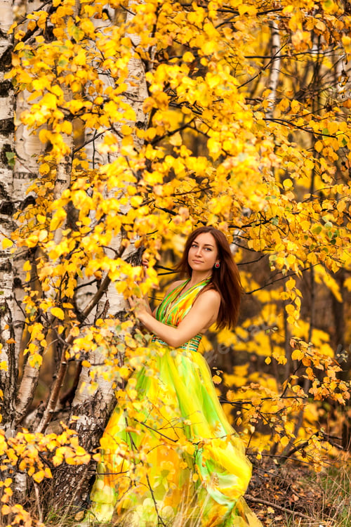 Preview: Enchanted Forest of Yellows a Maiden Embraces Autumn's Arrival