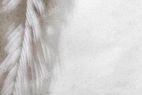 Preview: Palm leaf shadow on white concrete wall. Minimal summer exotic concept with copy space