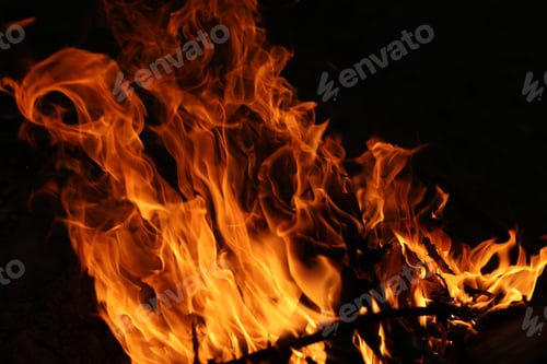 Preview: Fire flames on black background. The fire in the natural forest, flames and sparks on a dark