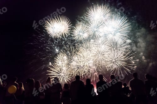 Preview: Crowd watching fireworks and celebrating new year eve