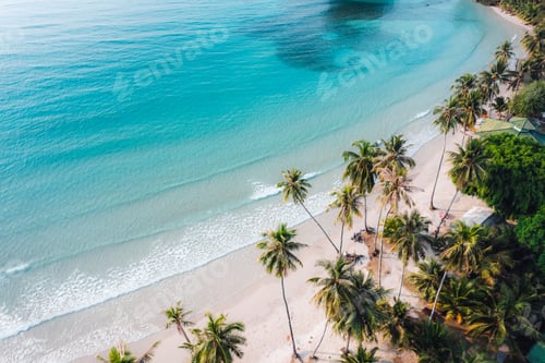 Preview: Aerial Beach and coconut trees on a calm island in the morning