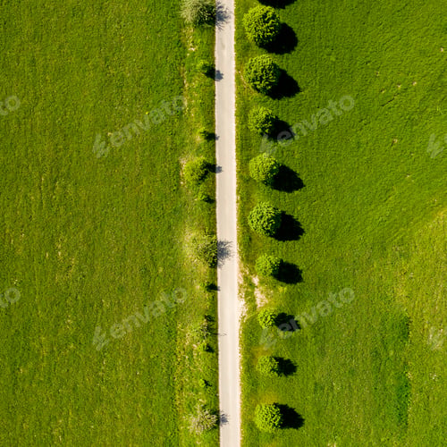 Preview: Aerial shot of a road in a field covered in greenery under the sunlight