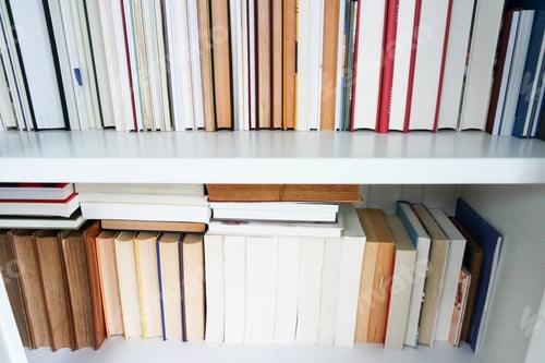 Preview: Shelf Full of Books on White Shelves