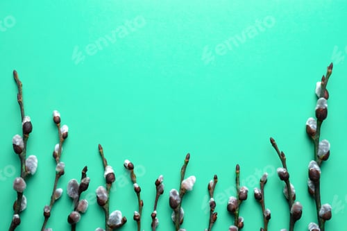 Preview: Spring Easter top view background with willow twigs