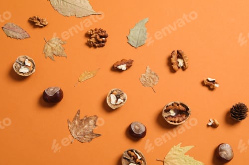 Preview: Concept of Autumn, Autumn composition accessories on orange background