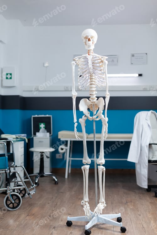 Preview: Empty doctor office having human body skeleton used as medical instrument