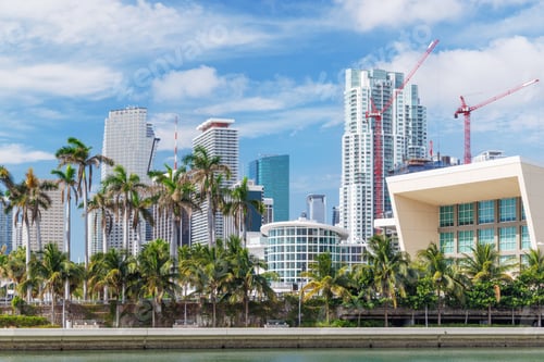 Preview: Modern skyline of Miami with towering skyscrapers, tropical vibe, and waterfront views
