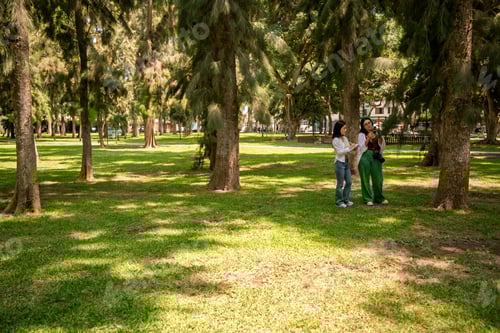 Visualização: Estudantes de biologia do sexo feminino fazendo trabalho de campo em parque urbano
