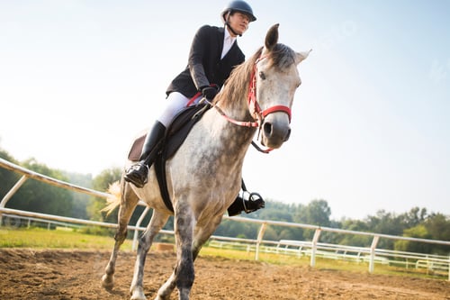 Preview: Young Chinese man riding horse