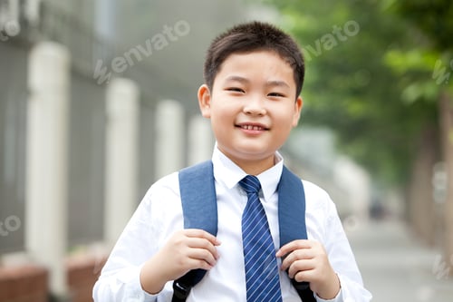 Preview: Portrait of cute schoolboy in uniform on the way to school